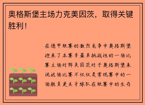 奥格斯堡主场力克美因茨，取得关键胜利！